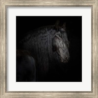 Framed 'Equine Portrait X' border=