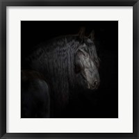 Equine Portrait X Framed Print