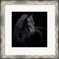 Framed 'Equine Portrait XI' border=