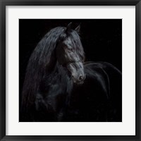 Framed Equine Portrait XI