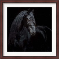 Framed Equine Portrait XI
