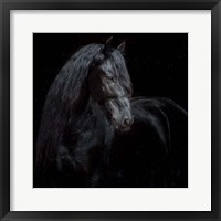 Equine Portrait XI Framed Print