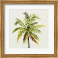 Framed 'Coco Watercolor Palm I' border=