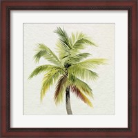 Framed Coco Watercolor Palm I