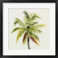 Coco Watercolor Palm I Framed Print