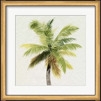 Framed 'Coco Watercolor Palm II' border=