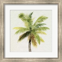 Framed Coco Watercolor Palm II