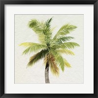 Coco Watercolor Palm II Framed Print