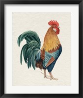 Framed 'Watercolor Rooster I' border=