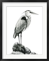 Framed Shoreline Heron in B&W I