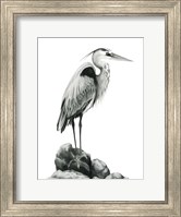 Framed Shoreline Heron in B&W I