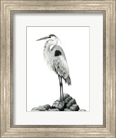 Framed Shoreline Heron in B&W II