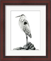 Framed Shoreline Heron in B&W II