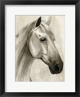 Freckled Pony II Framed Print