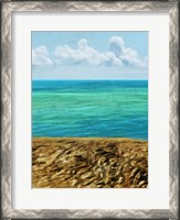 Framed Rocky Beachside I