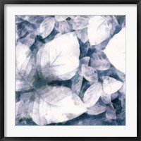 Framed Blue Shaded Leaves II