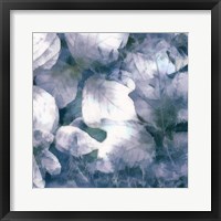 Framed Blue Shaded Leaves IV