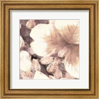 Framed Blush Shaded Leaves I