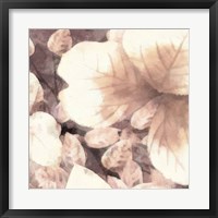 Framed Blush Shaded Leaves I