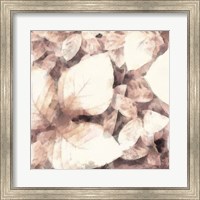 Framed Blush Shaded Leaves II