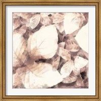 Framed Blush Shaded Leaves II