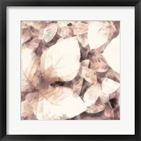 Blush Shaded Leaves II Framed Print