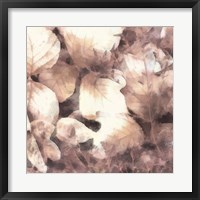 Framed Blush Shaded Leaves IV