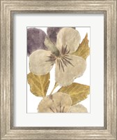 Framed Neutral Pansy I