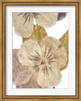 Framed Neutral Pansy II