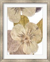Framed Neutral Pansy II