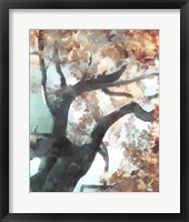 Framed 'Fall Tree I' border=