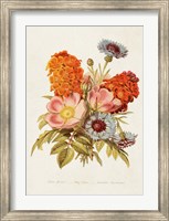 Framed Antique Floral Bouquet II