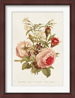 Framed Antique Floral Bouquet III