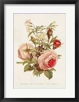 Antique Floral Bouquet III Framed Print