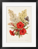 Antique Floral Bouquet V Framed Print