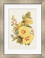 Framed Antique Floral Bouquet VI
