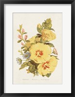Framed Antique Floral Bouquet VI