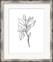 Framed Leaf Sprig I