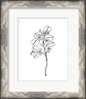 Framed Leaf Sprig II