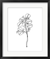 Framed Leaf Sprig II