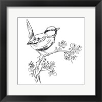 Framed Simple Songbird Sketches IV