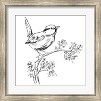 Framed Simple Songbird Sketches IV