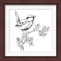 Framed 'Simple Songbird Sketches IV' border=