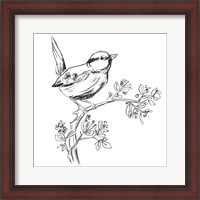 Framed Simple Songbird Sketches IV