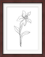 Framed Simple Daffodil I