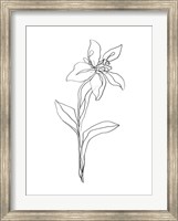 Framed Simple Daffodil I
