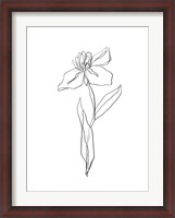 Framed Simple Daffodil II