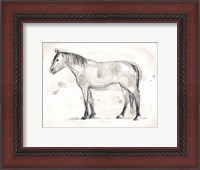 Framed Vintage Equine Sketch I
