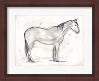 Framed Vintage Equine Sketch II