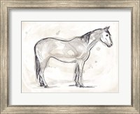 Framed Vintage Equine Sketch II